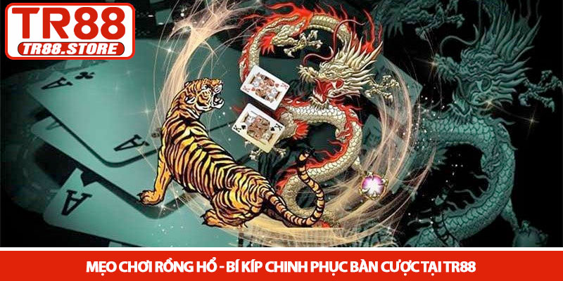 Mẹo chơi rồng hổ - Bí kíp chinh phục bàn cược tại TR88 5 Mẹo chơi rồng hổ - Bí kíp chinh phục bàn cược tại TR88